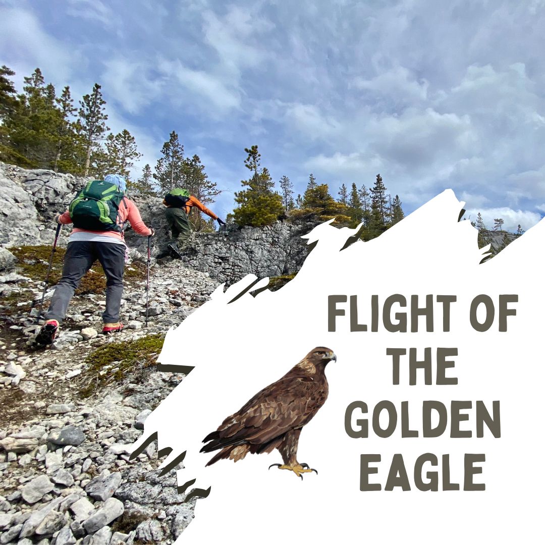 Flight of the Golden Eagle
