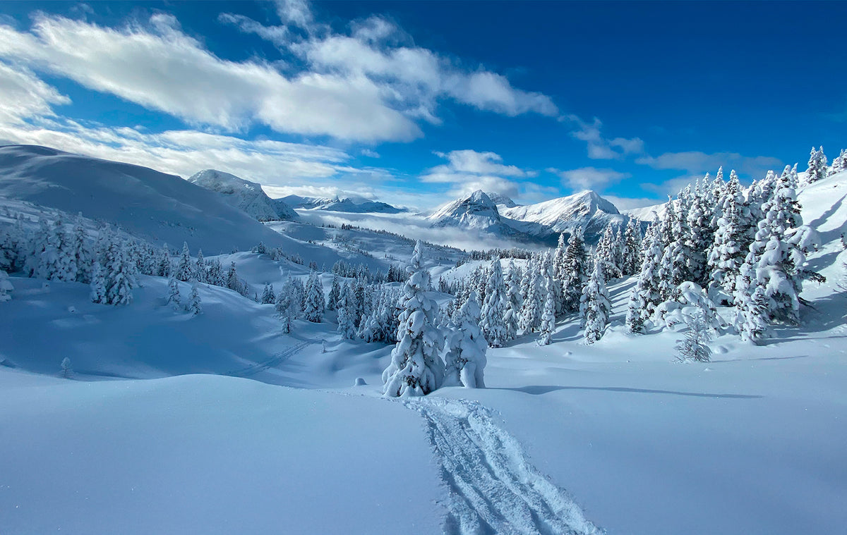 From Camera to Capture: Creating Better Outdoor Photographs